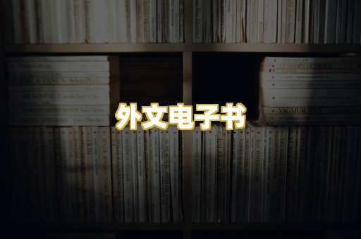 外文电子书